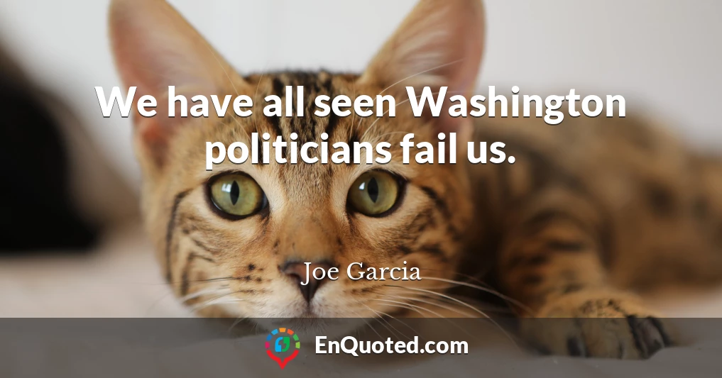 We have all seen Washington politicians fail us.