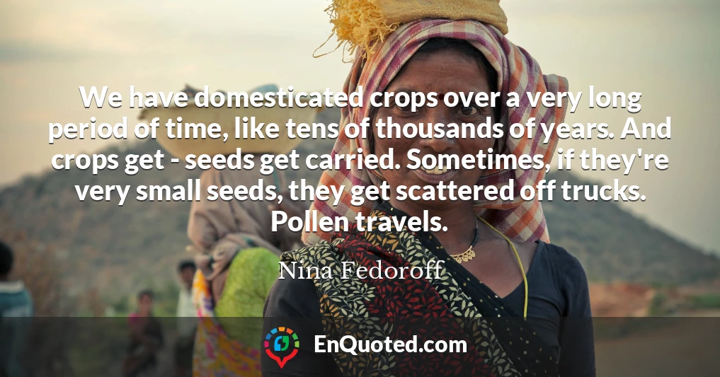 We have domesticated crops over a very long period of time, like tens of thousands of years. And crops get - seeds get carried. Sometimes, if they're very small seeds, they get scattered off trucks. Pollen travels.