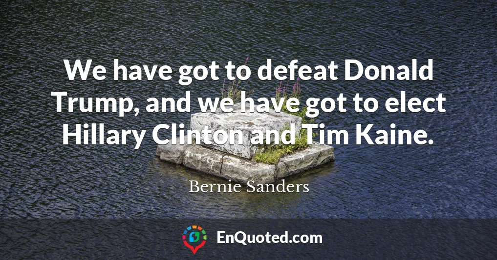 We have got to defeat Donald Trump, and we have got to elect Hillary Clinton and Tim Kaine.