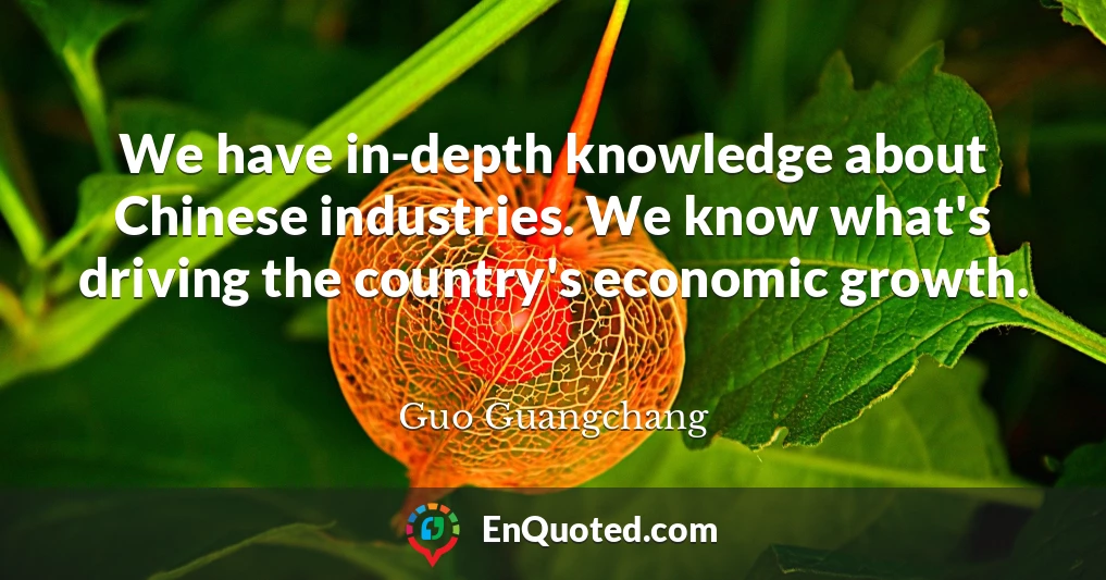 We have in-depth knowledge about Chinese industries. We know what's driving the country's economic growth.