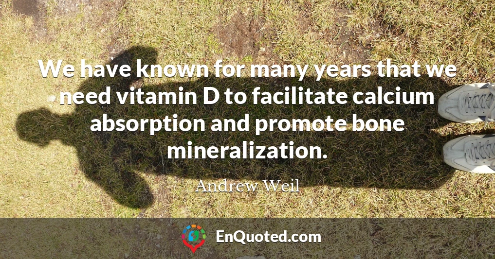 We have known for many years that we need vitamin D to facilitate calcium absorption and promote bone mineralization.