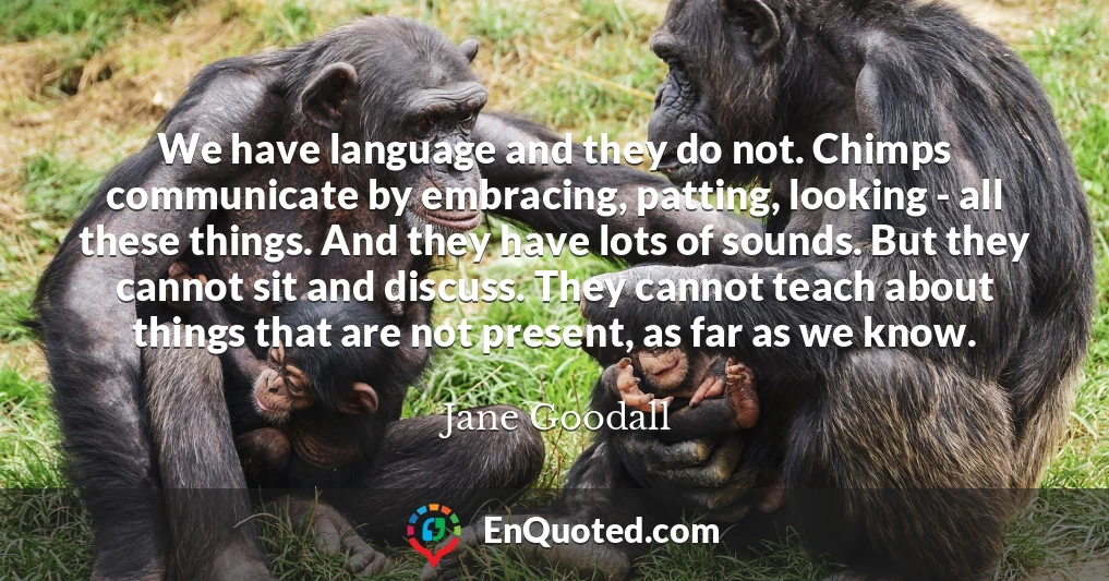 We have language and they do not. Chimps communicate by embracing, patting, looking - all these things. And they have lots of sounds. But they cannot sit and discuss. They cannot teach about things that are not present, as far as we know.