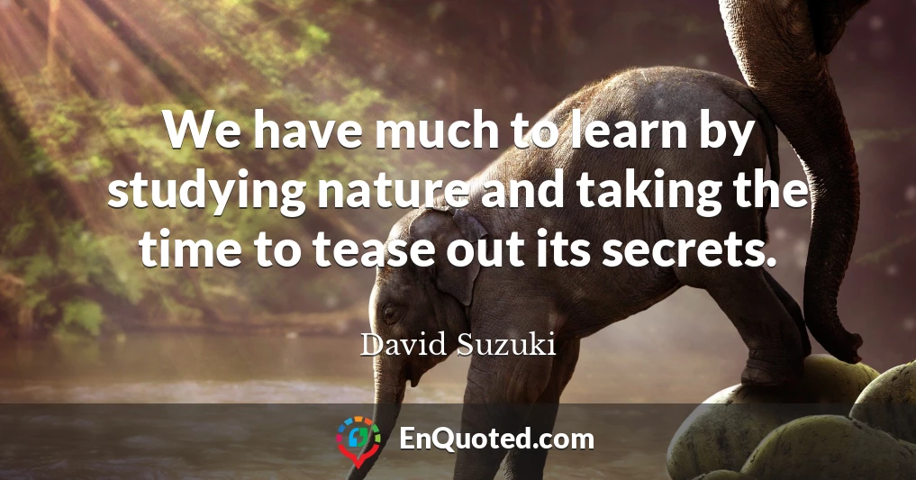 We have much to learn by studying nature and taking the time to tease out its secrets.