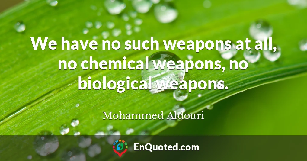 We have no such weapons at all, no chemical weapons, no biological weapons.