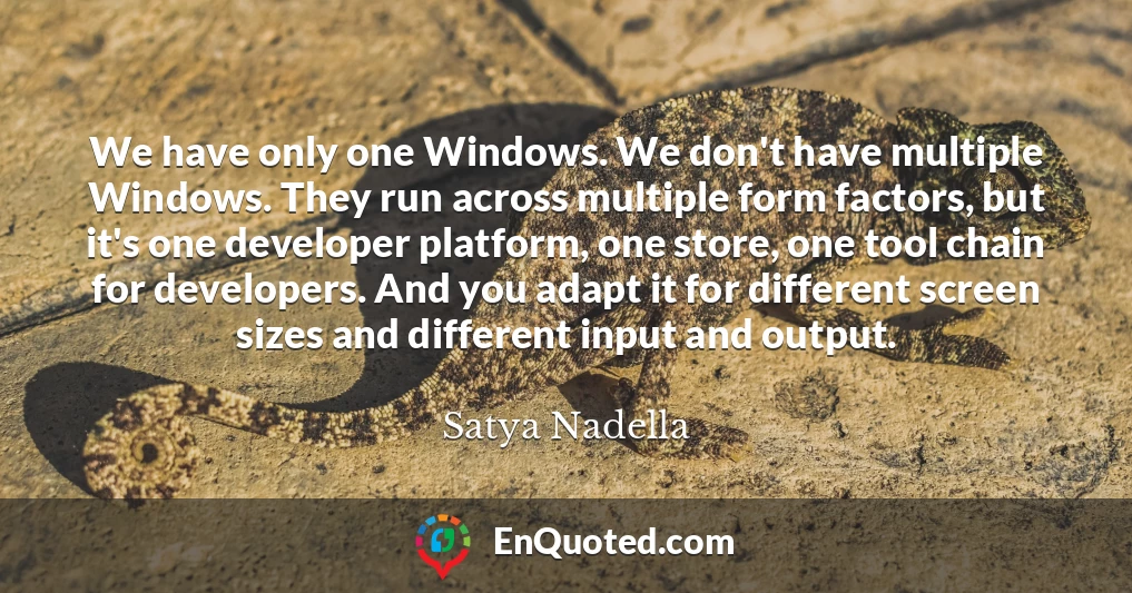 We have only one Windows. We don't have multiple Windows. They run across multiple form factors, but it's one developer platform, one store, one tool chain for developers. And you adapt it for different screen sizes and different input and output.
