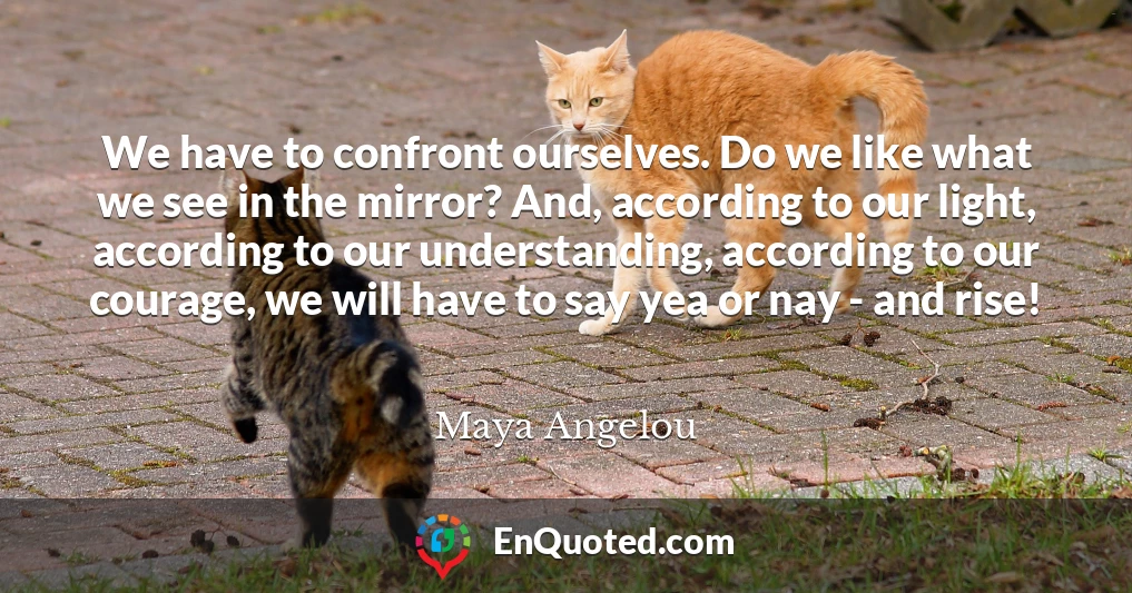 We have to confront ourselves. Do we like what we see in the mirror? And, according to our light, according to our understanding, according to our courage, we will have to say yea or nay - and rise!