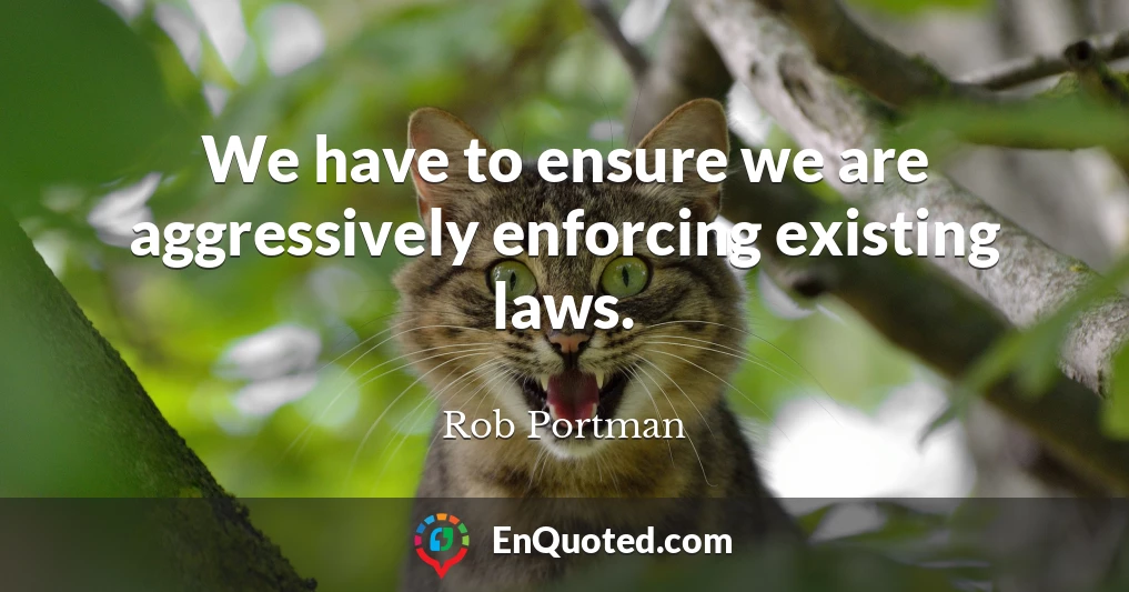 We have to ensure we are aggressively enforcing existing laws.