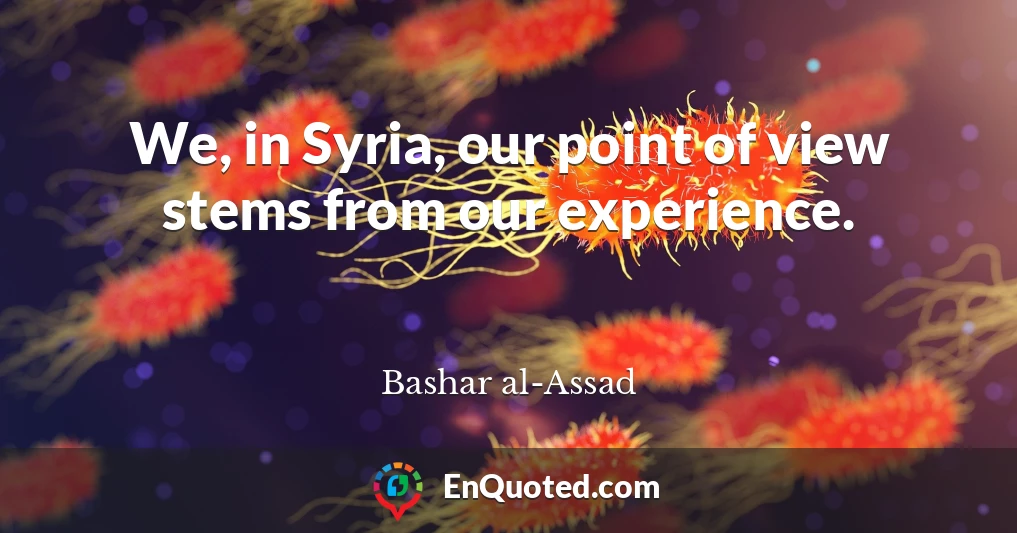 We, in Syria, our point of view stems from our experience.