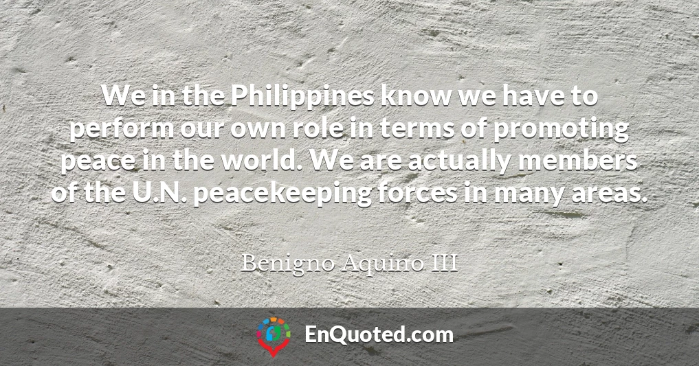 We in the Philippines know we have to perform our own role in terms of promoting peace in the world. We are actually members of the U.N. peacekeeping forces in many areas.