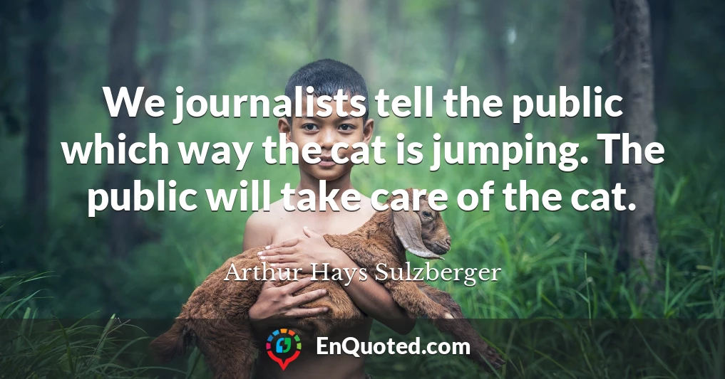 We journalists tell the public which way the cat is jumping. The public will take care of the cat.