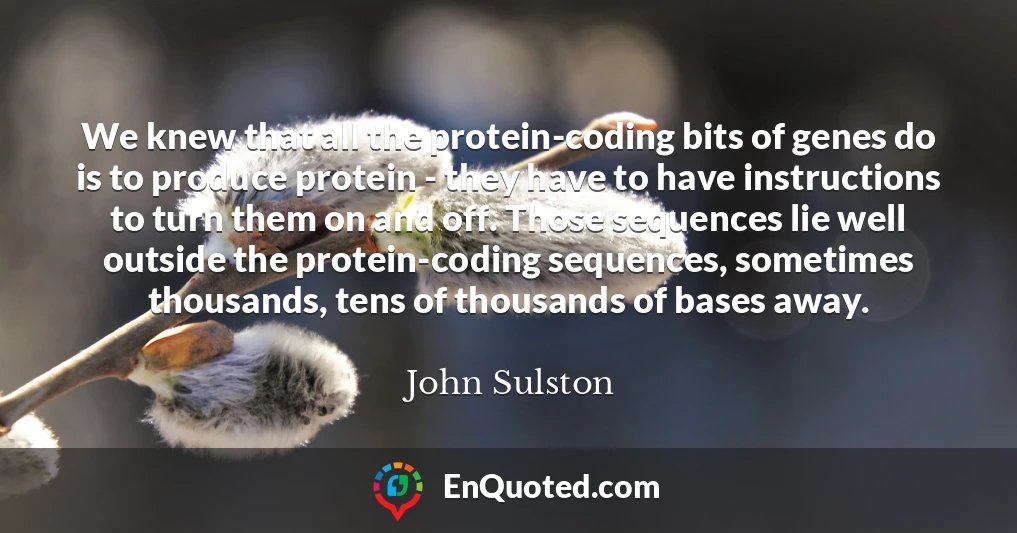We knew that all the protein-coding bits of genes do is to produce protein - they have to have instructions to turn them on and off. Those sequences lie well outside the protein-coding sequences, sometimes thousands, tens of thousands of bases away.