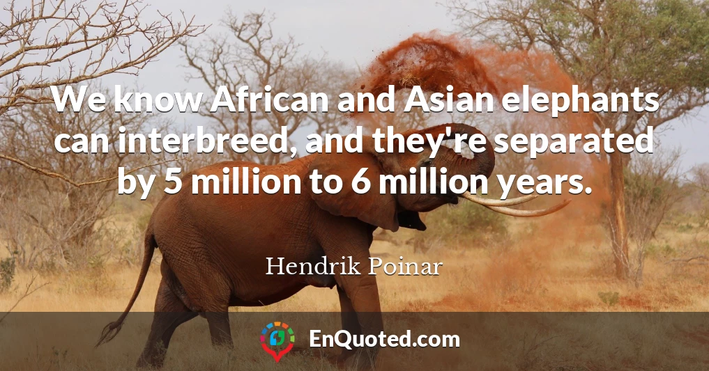 We know African and Asian elephants can interbreed, and they're separated by 5 million to 6 million years.