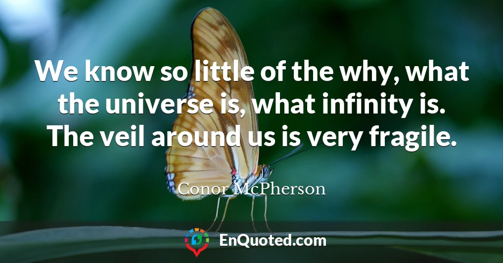 We know so little of the why, what the universe is, what infinity is. The veil around us is very fragile.