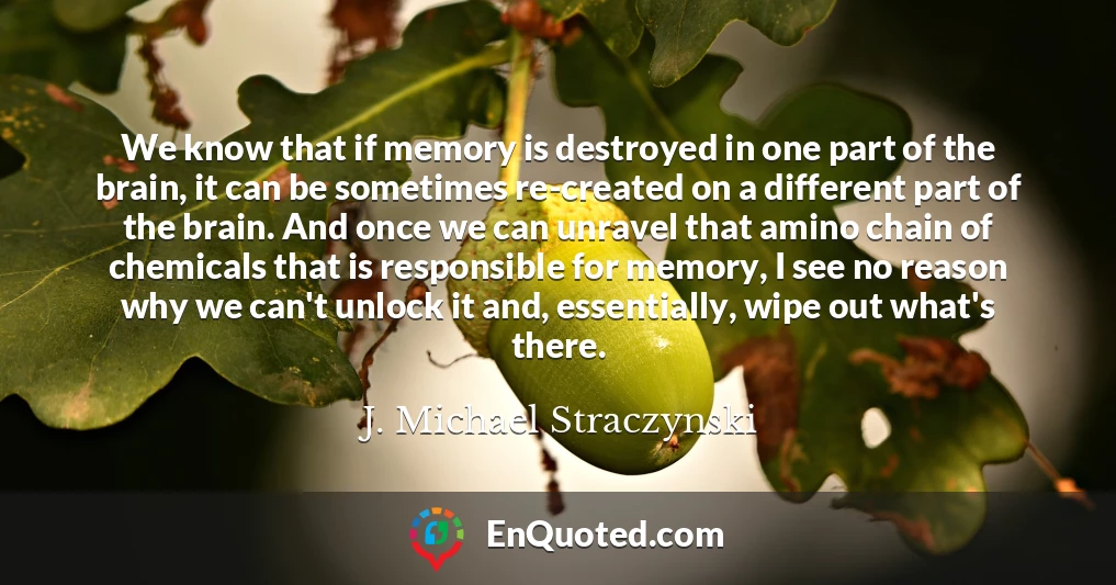 We know that if memory is destroyed in one part of the brain, it can be sometimes re-created on a different part of the brain. And once we can unravel that amino chain of chemicals that is responsible for memory, I see no reason why we can't unlock it and, essentially, wipe out what's there.