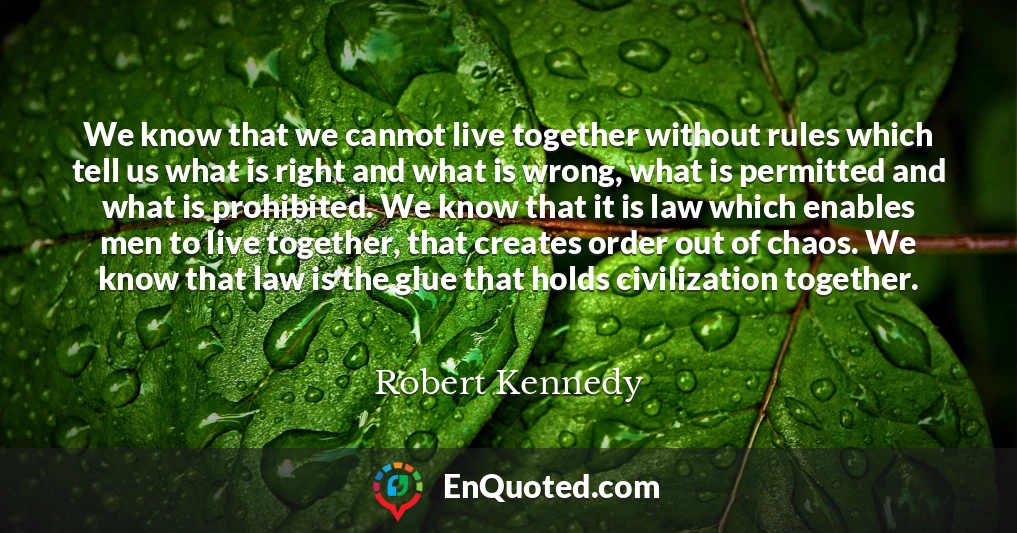 We know that we cannot live together without rules which tell us what is right and what is wrong, what is permitted and what is prohibited. We know that it is law which enables men to live together, that creates order out of chaos. We know that law is the glue that holds civilization together.