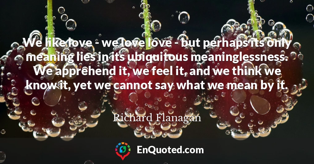 We like love - we love love - but perhaps its only meaning lies in its ubiquitous meaninglessness. We apprehend it, we feel it, and we think we know it, yet we cannot say what we mean by it.