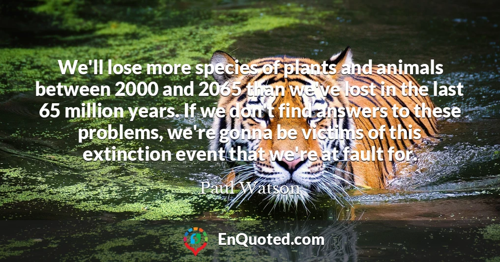 We'll lose more species of plants and animals between 2000 and 2065 than we've lost in the last 65 million years. If we don't find answers to these problems, we're gonna be victims of this extinction event that we're at fault for.