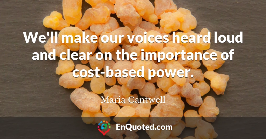 We'll make our voices heard loud and clear on the importance of cost-based power.