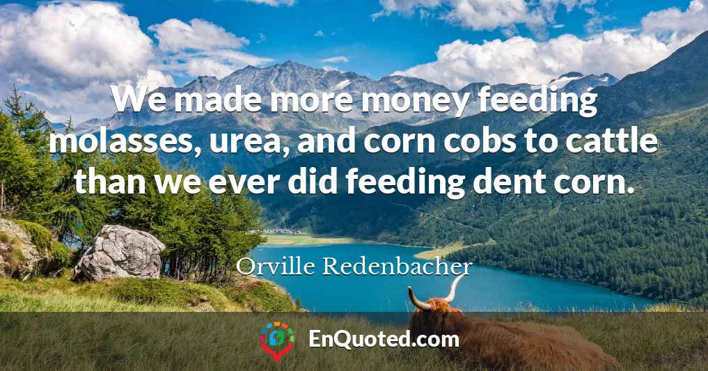 We made more money feeding molasses, urea, and corn cobs to cattle than we ever did feeding dent corn.