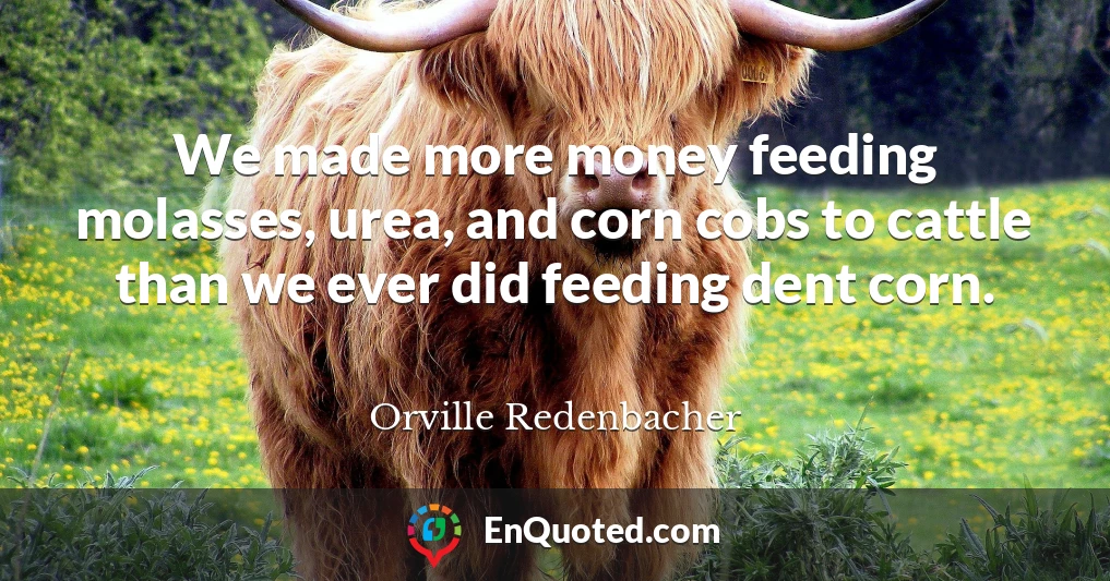 We made more money feeding molasses, urea, and corn cobs to cattle than we ever did feeding dent corn.