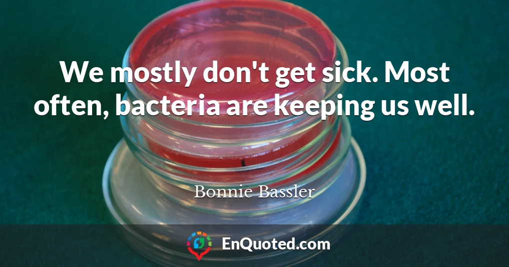 We mostly don't get sick. Most often, bacteria are keeping us well.