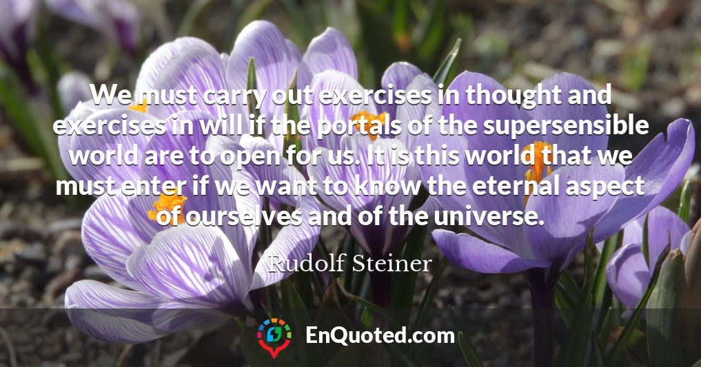 We must carry out exercises in thought and exercises in will if the portals of the supersensible world are to open for us. It is this world that we must enter if we want to know the eternal aspect of ourselves and of the universe.