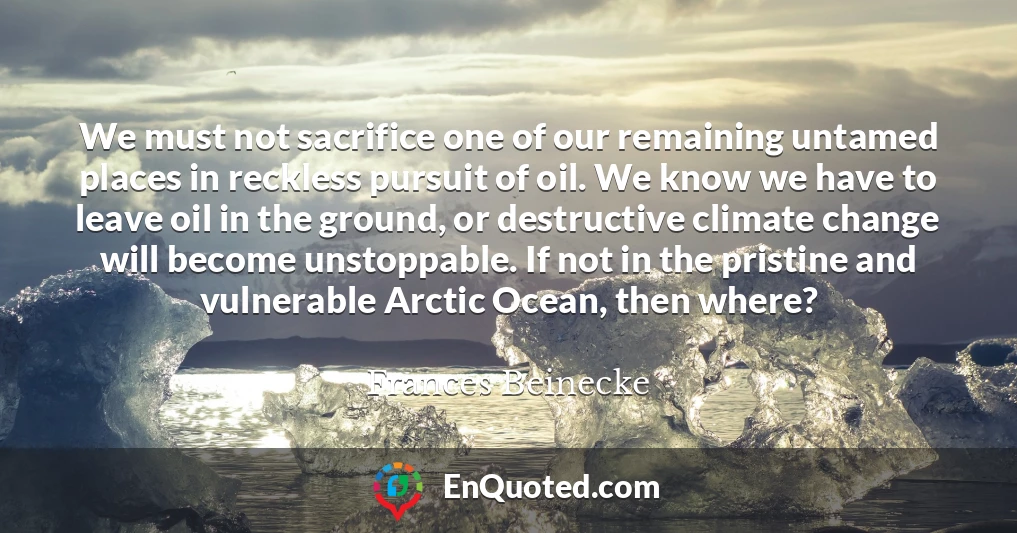 We must not sacrifice one of our remaining untamed places in reckless pursuit of oil. We know we have to leave oil in the ground, or destructive climate change will become unstoppable. If not in the pristine and vulnerable Arctic Ocean, then where?