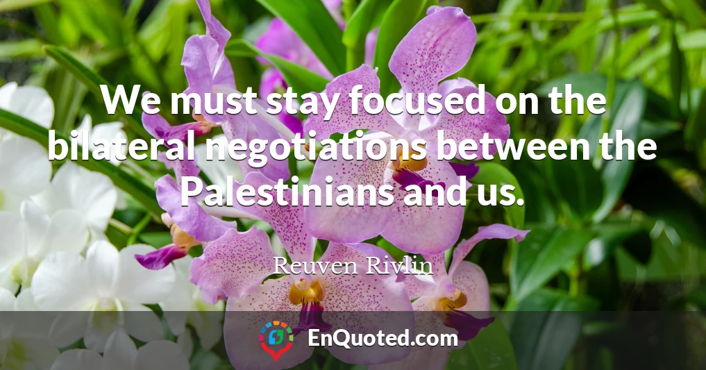 We must stay focused on the bilateral negotiations between the Palestinians and us.