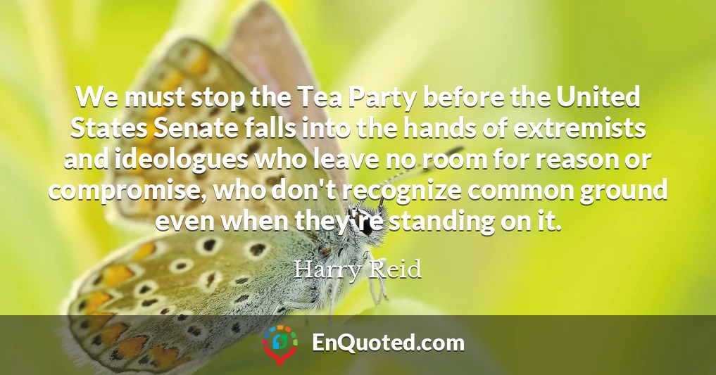 We must stop the Tea Party before the United States Senate falls into the hands of extremists and ideologues who leave no room for reason or compromise, who don't recognize common ground even when they're standing on it.