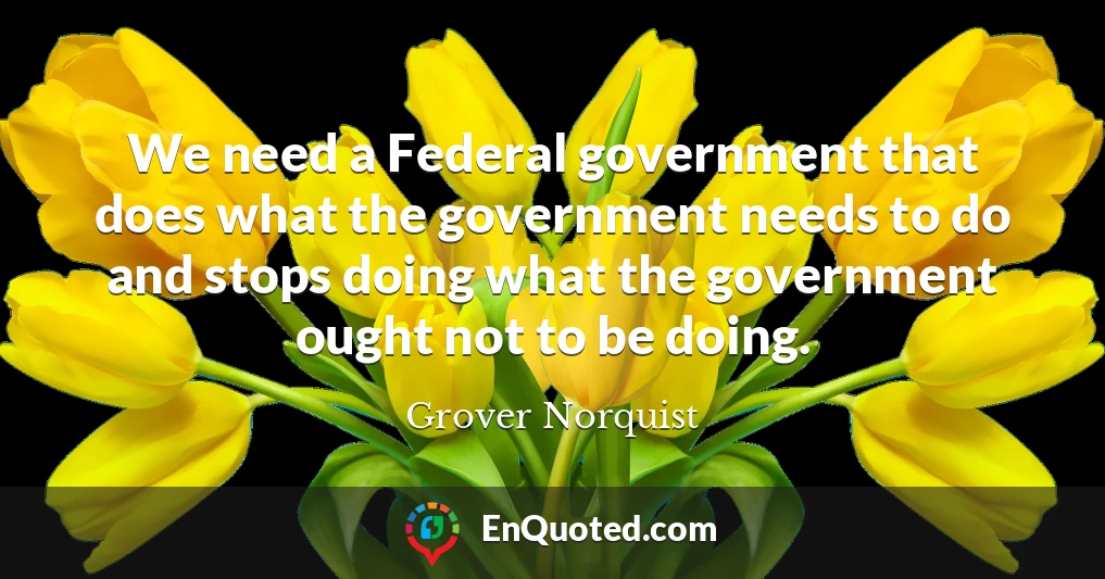 We need a Federal government that does what the government needs to do and stops doing what the government ought not to be doing.