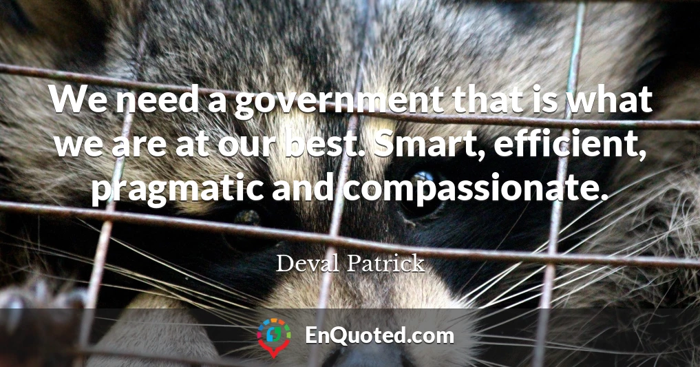We need a government that is what we are at our best. Smart, efficient, pragmatic and compassionate.