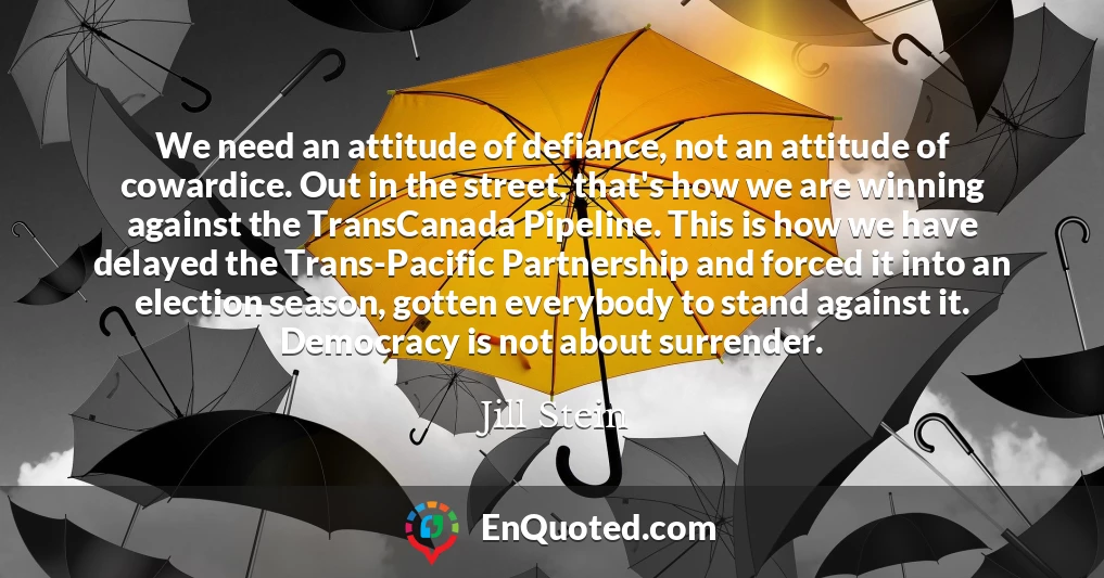 We need an attitude of defiance, not an attitude of cowardice. Out in the street, that's how we are winning against the TransCanada Pipeline. This is how we have delayed the Trans-Pacific Partnership and forced it into an election season, gotten everybody to stand against it. Democracy is not about surrender.