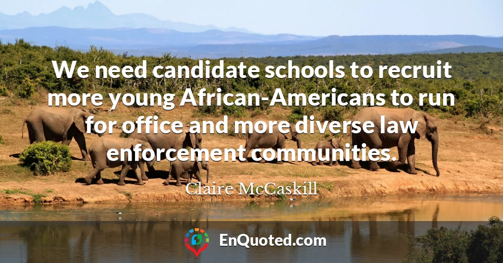 We need candidate schools to recruit more young African-Americans to run for office and more diverse law enforcement communities.