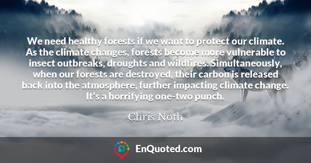 We need healthy forests if we want to protect our climate. As the climate changes, forests become more vulnerable to insect outbreaks, droughts and wildfires. Simultaneously, when our forests are destroyed, their carbon is released back into the atmosphere, further impacting climate change. It's a horrifying one-two punch.