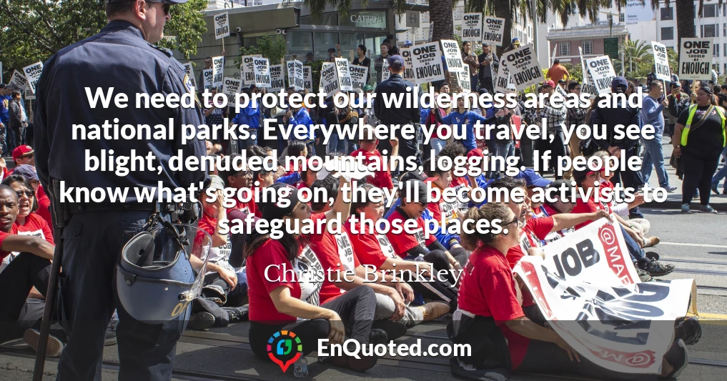 We need to protect our wilderness areas and national parks. Everywhere you travel, you see blight, denuded mountains, logging. If people know what's going on, they'll become activists to safeguard those places.