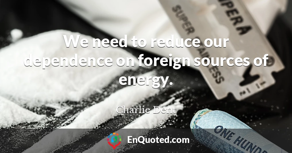 We need to reduce our dependence on foreign sources of energy.