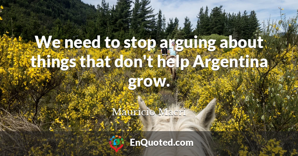 We need to stop arguing about things that don't help Argentina grow.