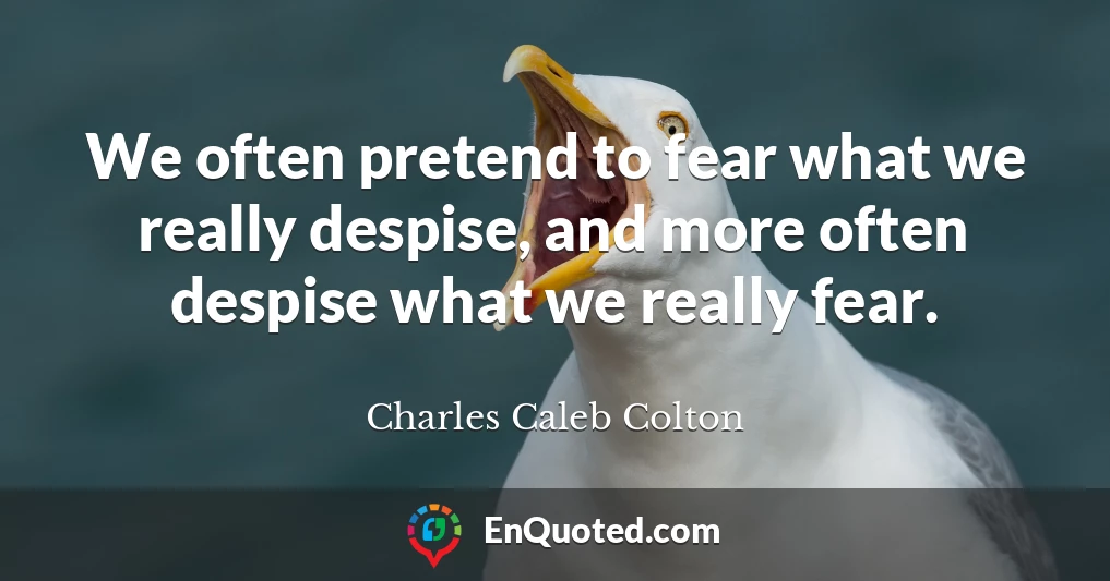 We often pretend to fear what we really despise, and more often despise what we really fear.