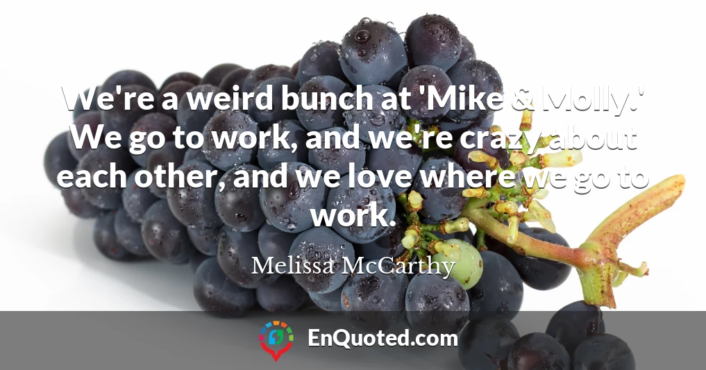 We're a weird bunch at 'Mike & Molly.' We go to work, and we're crazy about each other, and we love where we go to work.