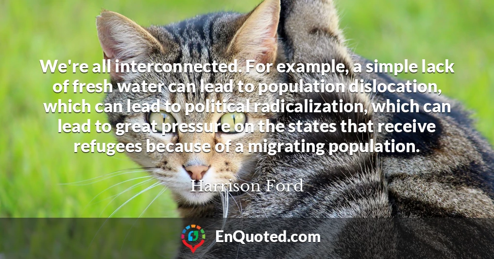 We're all interconnected. For example, a simple lack of fresh water can lead to population dislocation, which can lead to political radicalization, which can lead to great pressure on the states that receive refugees because of a migrating population.