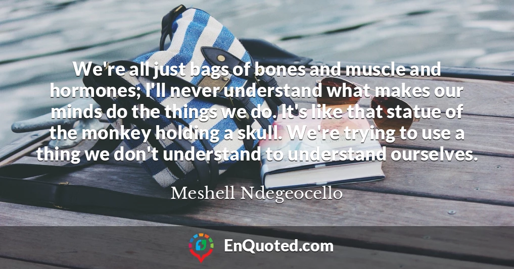 We're all just bags of bones and muscle and hormones; I'll never understand what makes our minds do the things we do. It's like that statue of the monkey holding a skull. We're trying to use a thing we don't understand to understand ourselves.