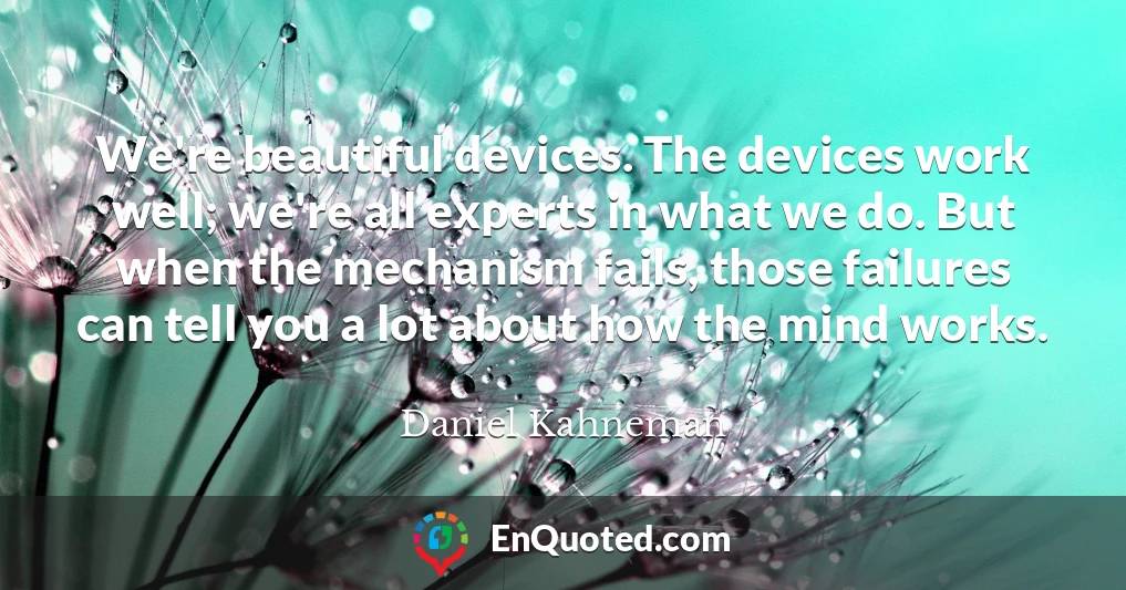 We're beautiful devices. The devices work well; we're all experts in what we do. But when the mechanism fails, those failures can tell you a lot about how the mind works.