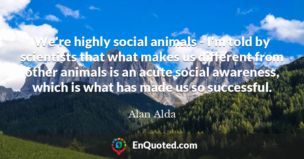 We're highly social animals - I'm told by scientists that what makes us different from other animals is an acute social awareness, which is what has made us so successful.