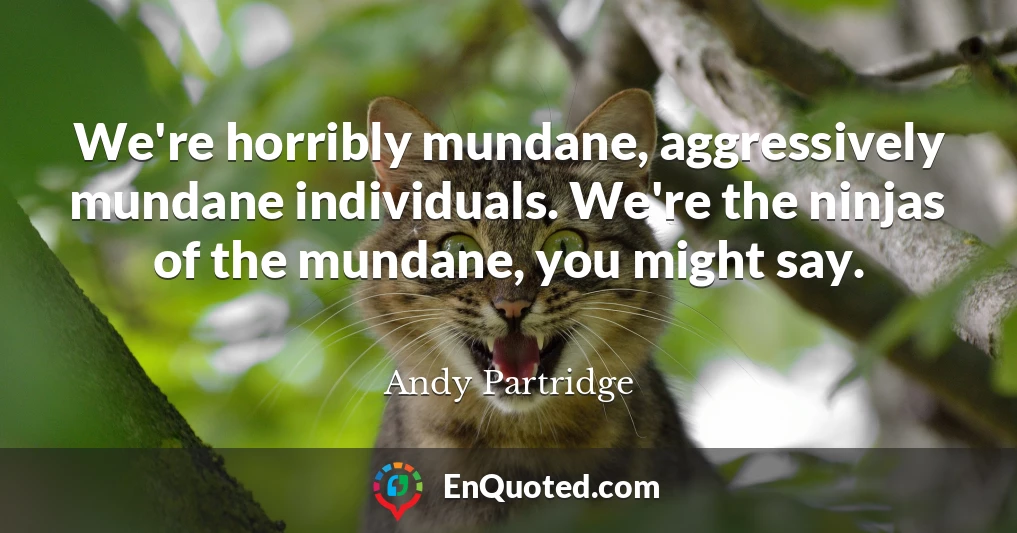 We're horribly mundane, aggressively mundane individuals. We're the ninjas of the mundane, you might say.