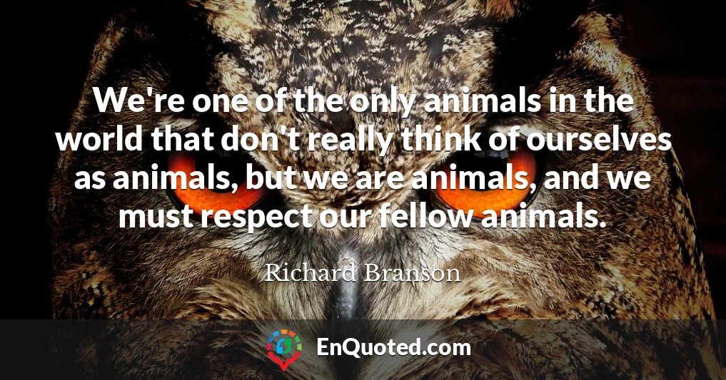 We're one of the only animals in the world that don't really think of ourselves as animals, but we are animals, and we must respect our fellow animals.