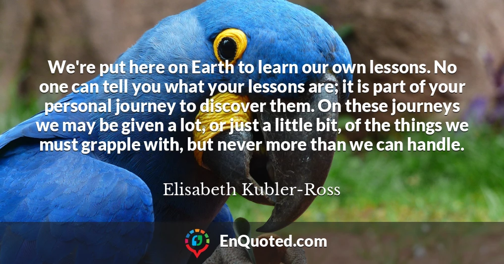 We're put here on Earth to learn our own lessons. No one can tell you what your lessons are; it is part of your personal journey to discover them. On these journeys we may be given a lot, or just a little bit, of the things we must grapple with, but never more than we can handle.