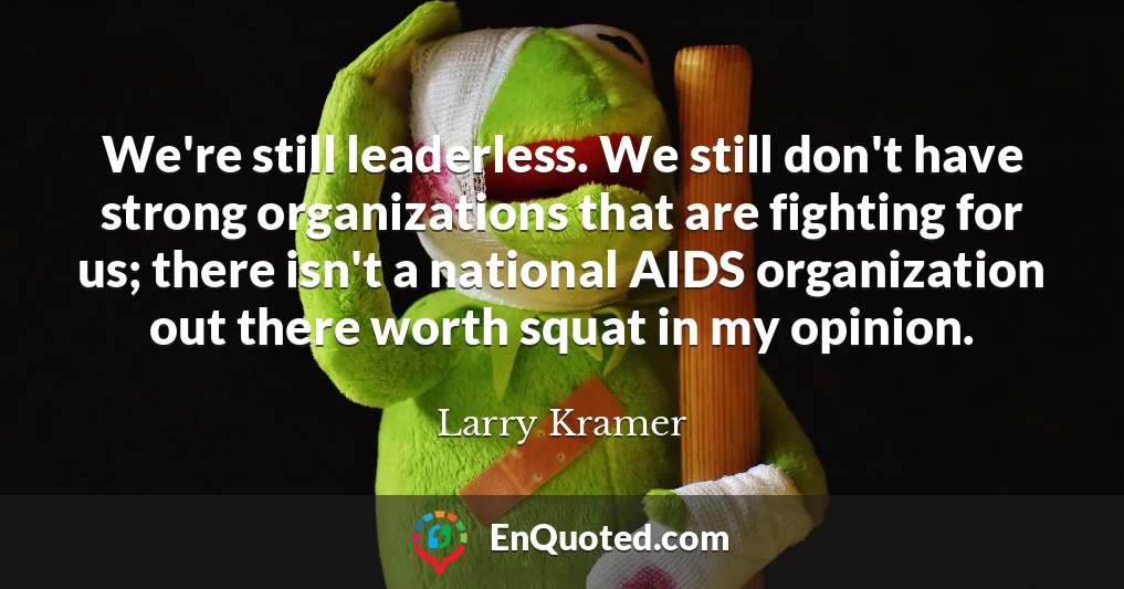 We're still leaderless. We still don't have strong organizations that are fighting for us; there isn't a national AIDS organization out there worth squat in my opinion.
