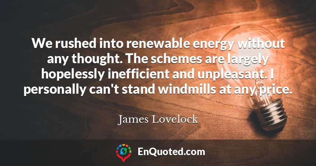 We rushed into renewable energy without any thought. The schemes are largely hopelessly inefficient and unpleasant. I personally can't stand windmills at any price.
