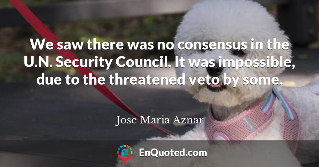 We saw there was no consensus in the U.N. Security Council. It was impossible, due to the threatened veto by some.
