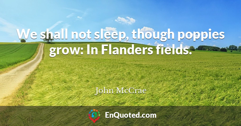 We shall not sleep, though poppies grow: In Flanders fields.